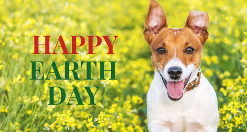 Happy Earth Day Bark Busters Home Dog Training v2